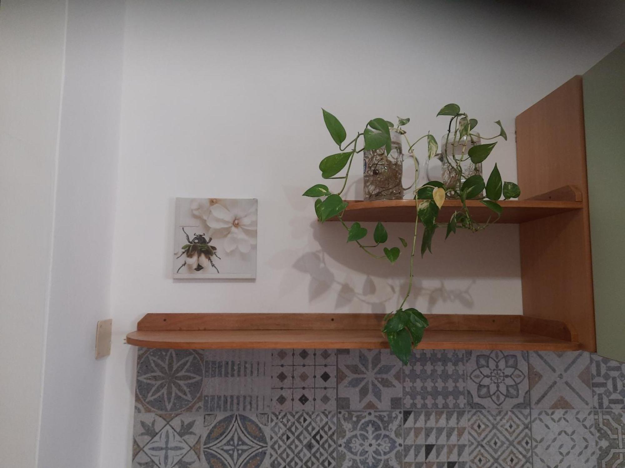 Le Calle A Vieste Sul Gargano Εξωτερικό φωτογραφία